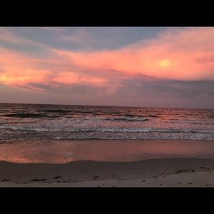 Meet your Posher, Terry